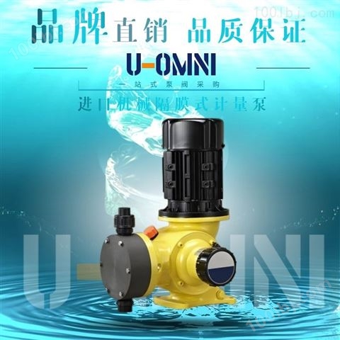 机械隔膜式计量泵-美国进口欧姆尼U-OMNI