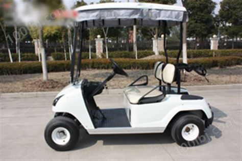 玛西尔二人座电动高尔夫球车（DG-C2）