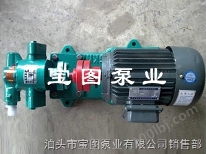 微型齿轮泵专业订做厂家--宝图泵业